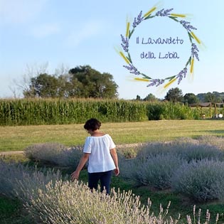 Lavandeto | Laboratori creativi